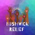 Logo of Bushwick Emergency Relief Fund